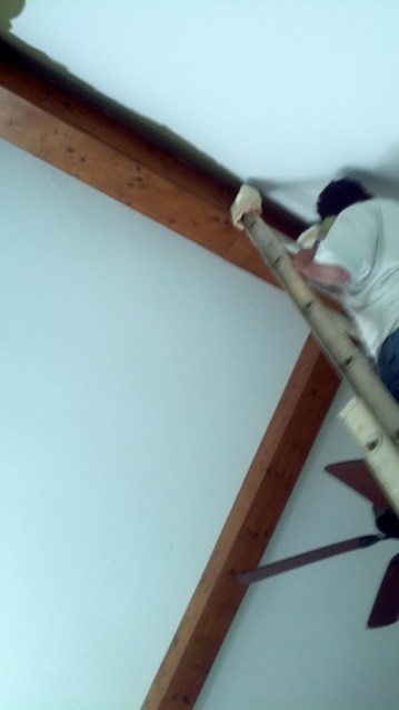 Painter on ladder painting a vaulted ceiling in a Charlotte home.